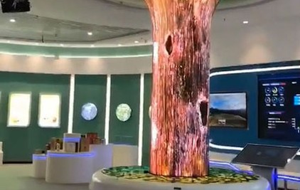 數(shù)字瀑布樹(shù)互動(dòng)投影