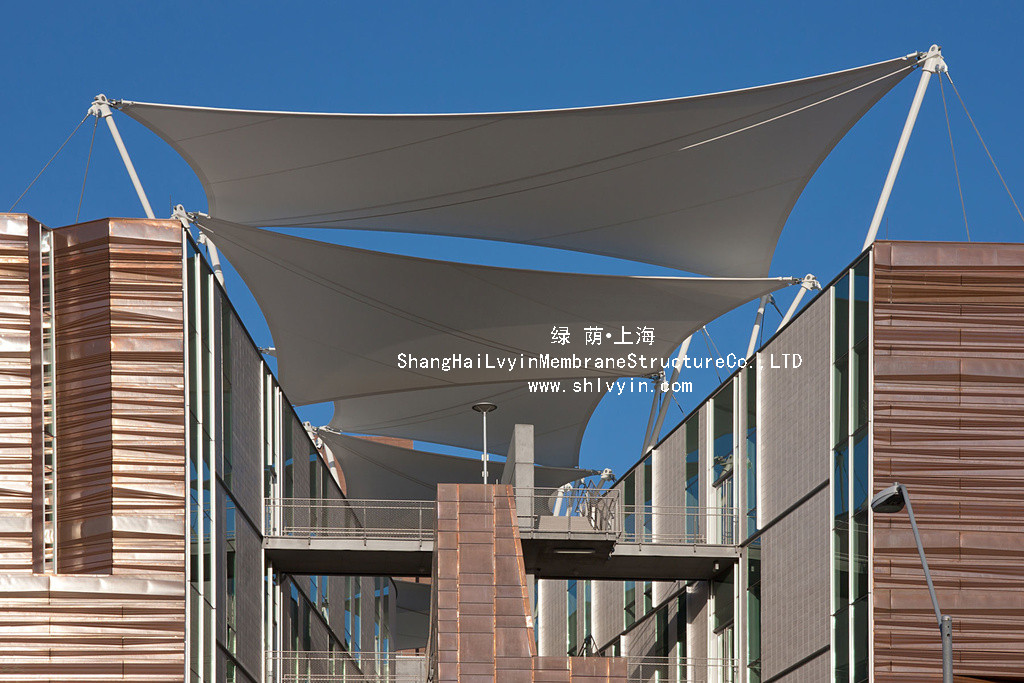 1498792292819540.jpg 12 (6).jpg