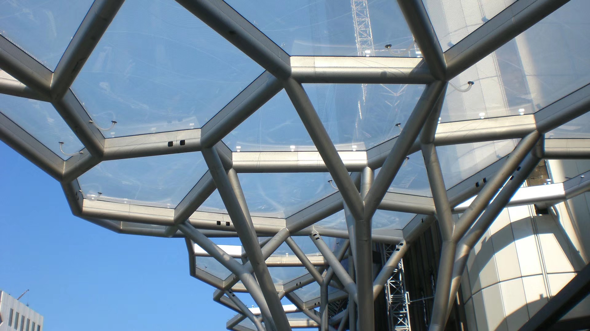 1582179327875578.jpg IMG_8733(20200220-131455).JPG